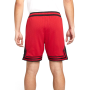 Krátke kalhoty - Jordan Sport Dri-FIT