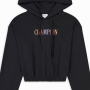Mikiny - Champion Hooded Crop Top