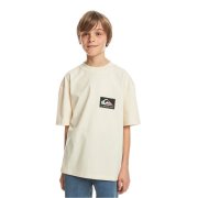 Děti - Quiksilver Back Flash Youth