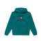 Mikiny - Quiksilver Big Logo Hoodie