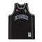 Dresy - DC Hoops Jersey