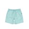 Boardshorty - Quiksilver Taxer Ws