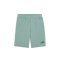 Krátke kalhoty - Puma Essentials No. 1 Logo Shorts 10""