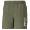 Krátke kalhoty - Puma Summer Graphic Woven Shorts