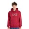 Mikiny - Vans Determined Pullover