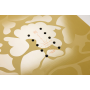 snowboard NITRO POW Délka snowboardu (cm): 163
