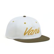 Pánské kšiltovky - Vans Gotsie Unstructured