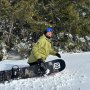 HALEN II INSULATED JACKET (iguana) velikost L