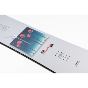 snowboard NITRO CHEAP THRILLS Délka snowboardu (cm): 155