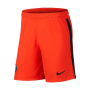 Krátke kalhoty - Nike Paris Saint-Germain 2020/21 Stadium Goalkeeper